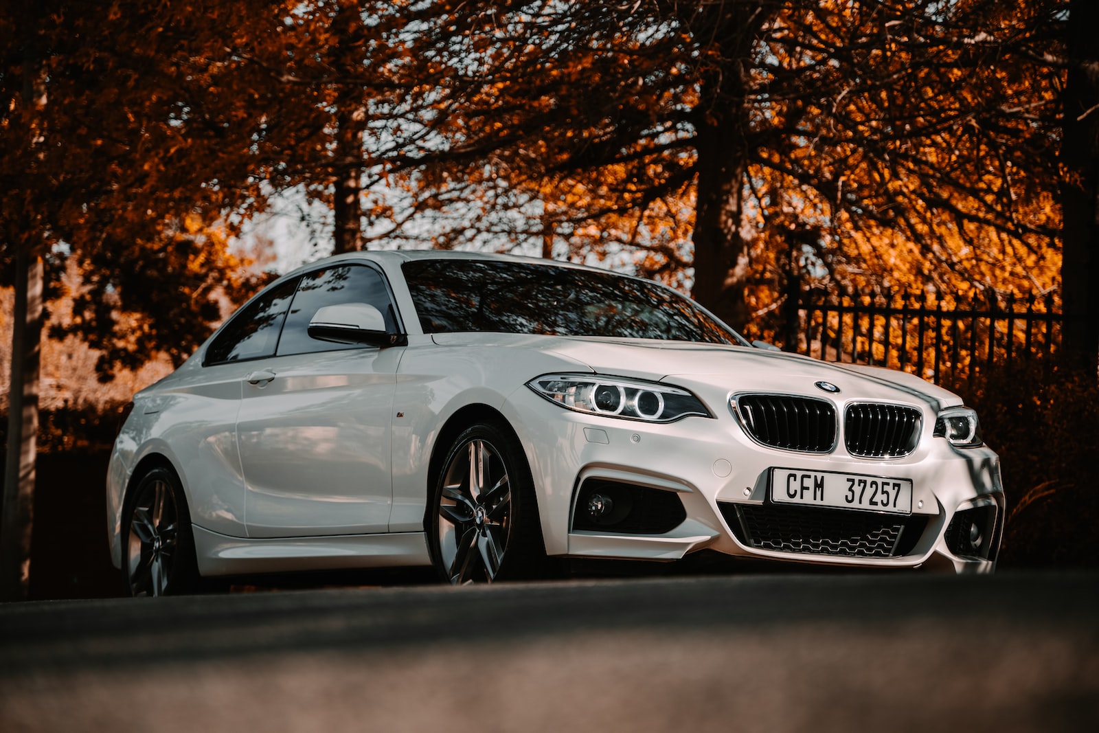white bmw m 3 coupe parked near brown trees during daytime