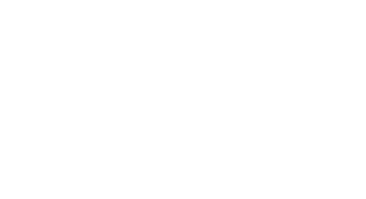MONI used car